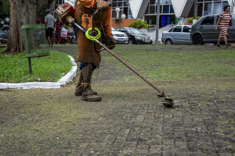 lawn care san francisco ca